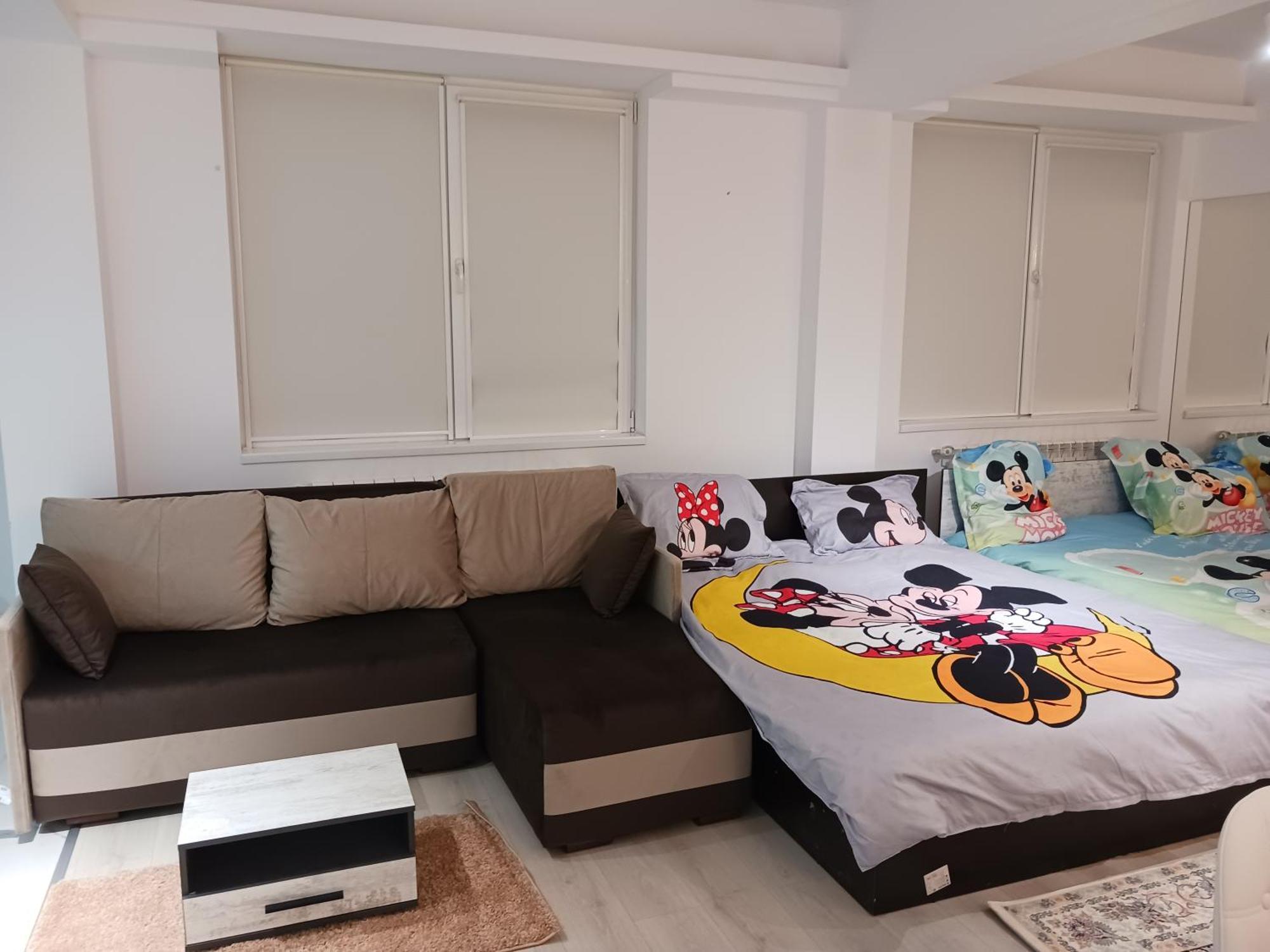 Appartamento Myky Mouse Nu Primesc Santieristi Si Petrecareti Bucarest Esterno foto